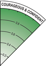 courageous-confident